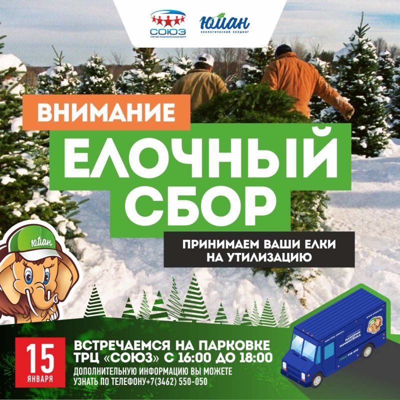 О ёлочном сборе в Сургуте
